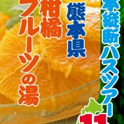 1511柑橘フルーツ